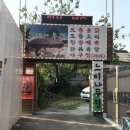 면목동 느티나무 이미지