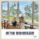 청계 영유아 생태공원 | 김포 애기봉 평화생태공원 전망대, 주말 현장 예약 성공