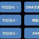 문형열 | 마지막 승부, "체세포복제냐 처녀생식이냐?"