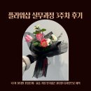 플로리스트 과정 (실무) | 부산플로리스트 실무과정 3주차 수업 후기