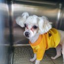 탄금축구장 축구장 이미지