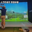 신안스크린골프