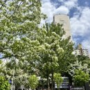 둔산대공원 입구(버스정류장) 이미지