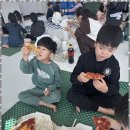 푸른 경희대 태권도장 이미지