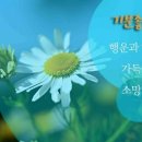 (주)하와이여행