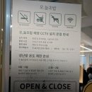 분당맛집 오,늘초밥 분당서현점