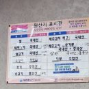 태원 | 대전 둔산동중식 맛집 태원 방문후기