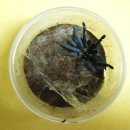 율리 지하철역 이미지