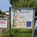 세종 땀범벅놀이터, 9가지 놀이공간이 전부 무료 (방문 전 꼭 알아야 할 것들)