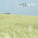 필포토 이미지