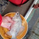 한샘청수낚시터 이미지