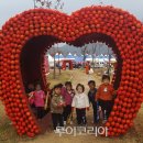 청송이사과
