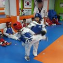 한울태권도교육관 이미지