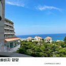 양양 쏠비치 스위트 후기 수영장 &amp; 프라이빗비치 일출예쁜 리조트 가족여행 추천 💛