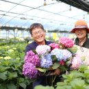 그린영농조합법인 이미지