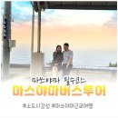 렌터카 없이도 OK! 일본 마쓰야마 근교 버스투어, 우치코 오즈 시모나다 정복 후기