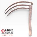 갯지렁이 전시관 네이버블로그