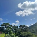 들꽃펜션민박 이미지