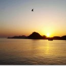 웅이네식당 이미지