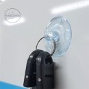 솔라그라티아 이미지