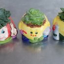 고창미조리장갑 이미지