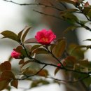 김주열 흉상 이미지