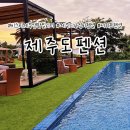 팜앤팜 | 제주도 가성비 펜션 파노라마뷰 숙소 서귀포펜션 비스비제주 앤 팜빌리지 후기