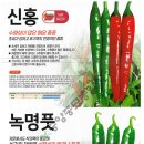 백두칼라 이미지