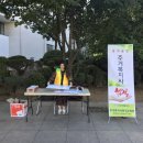 이테시스 서포터즈 오프라인 활동 후기