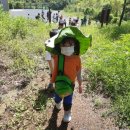 북청물장수 이미지