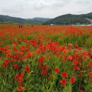 진주혁신도시LH부동산공인중개사무소 이미지