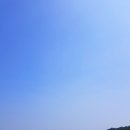들풀카페