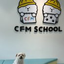 CFM애견유치원 이미지