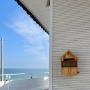 쉼표고성 이미지