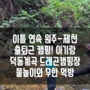 오토오아시스 구운점 | 원주근교나들이 ] 제천 덕동계곡 드래곤오토캠핑장 1박2일 후기, 시설 정보와 토요일 막걸리 이벤트 꿀팁