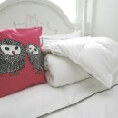 에스에이치코퍼레이션 이미지