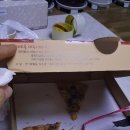 피자스쿨안산 이미지