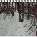 도전농장 이미지