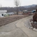 금대지부동산중개사무소 이미지