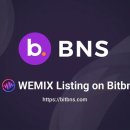 비엔에스 이미지