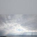 까사봉봉 이미지