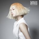 인프로페셔널 이미지