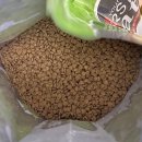퍼스트독, 캣 | 길고양이를 위해 만든 17kg 대용량 사료, 퍼스트캣 그린