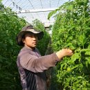 김용호 농장 이미지