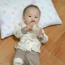 날으는유니콘