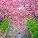 와룡산청룡사앞 이미지