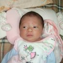 유수연 카카오 검색결과