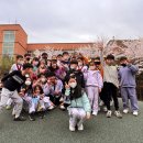 액티브경희태권도장 이미지