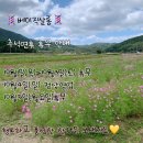 하대동314 이미지