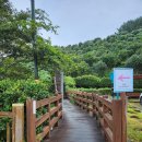 광명사 | 제주 서귀포시 중문동 오름, '베릿내오름'과 '천제연폭포' 산책 후기